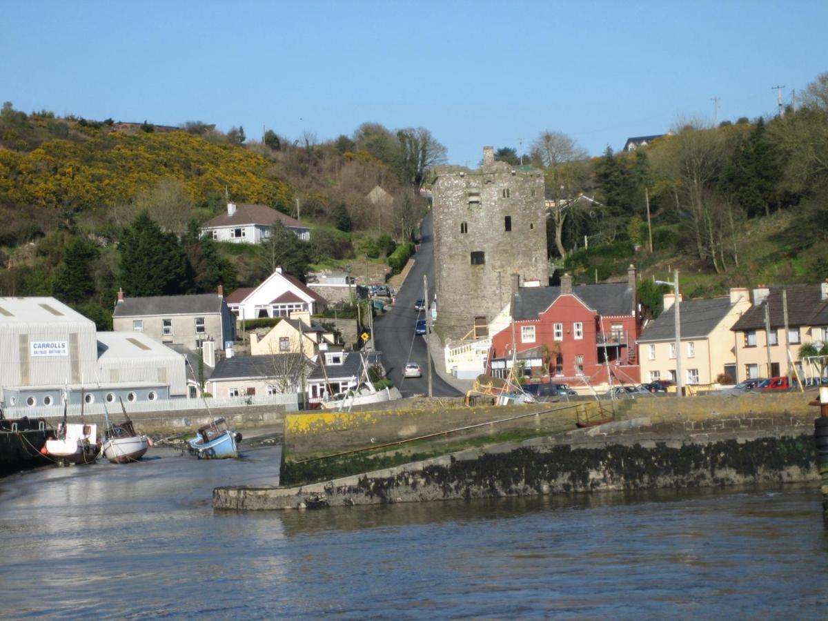 Glendine Country House Wexford Arthurstown Екстер'єр фото