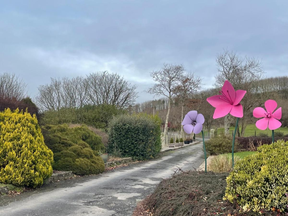 Glendine Country House Wexford Arthurstown Екстер'єр фото