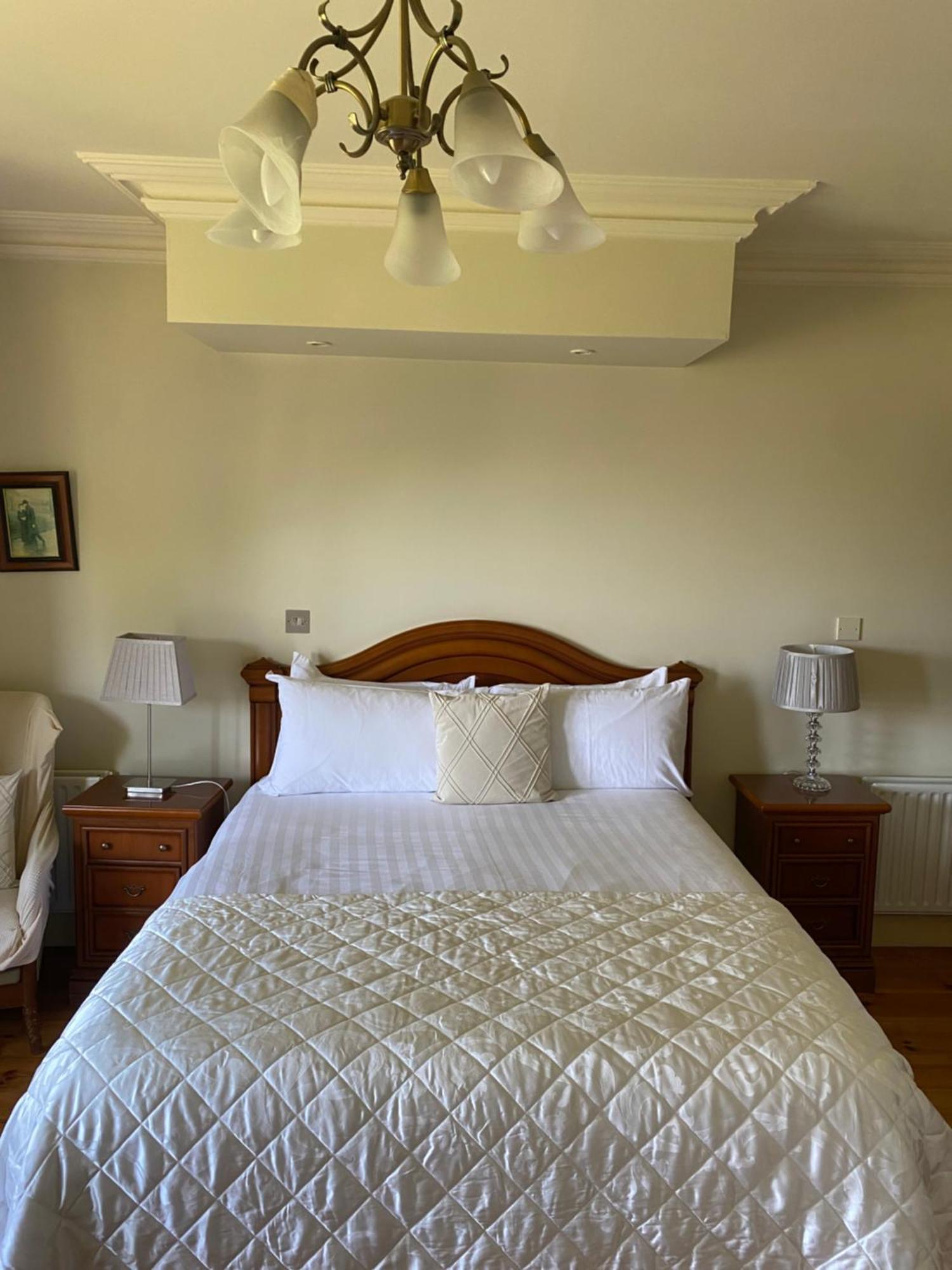 Glendine Country House Wexford Arthurstown Екстер'єр фото